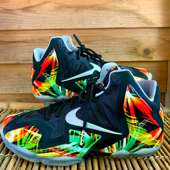 lebron james everglades